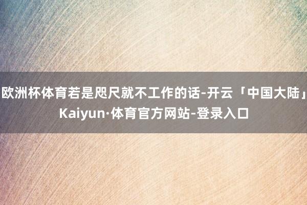 欧洲杯体育若是咫尺就不工作的话-开云「中国大陆」Kaiyun·体育官方网站-登录入口