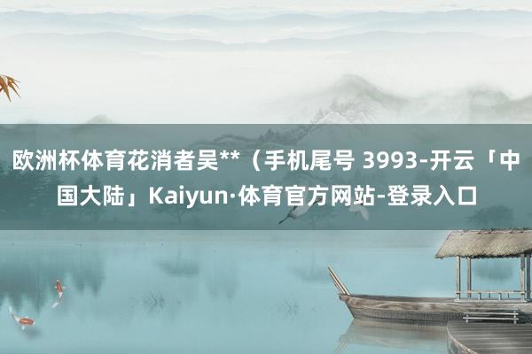 欧洲杯体育花消者吴**（手机尾号 3993-开云「中国大陆」Kaiyun·体育官方网站-登录入口